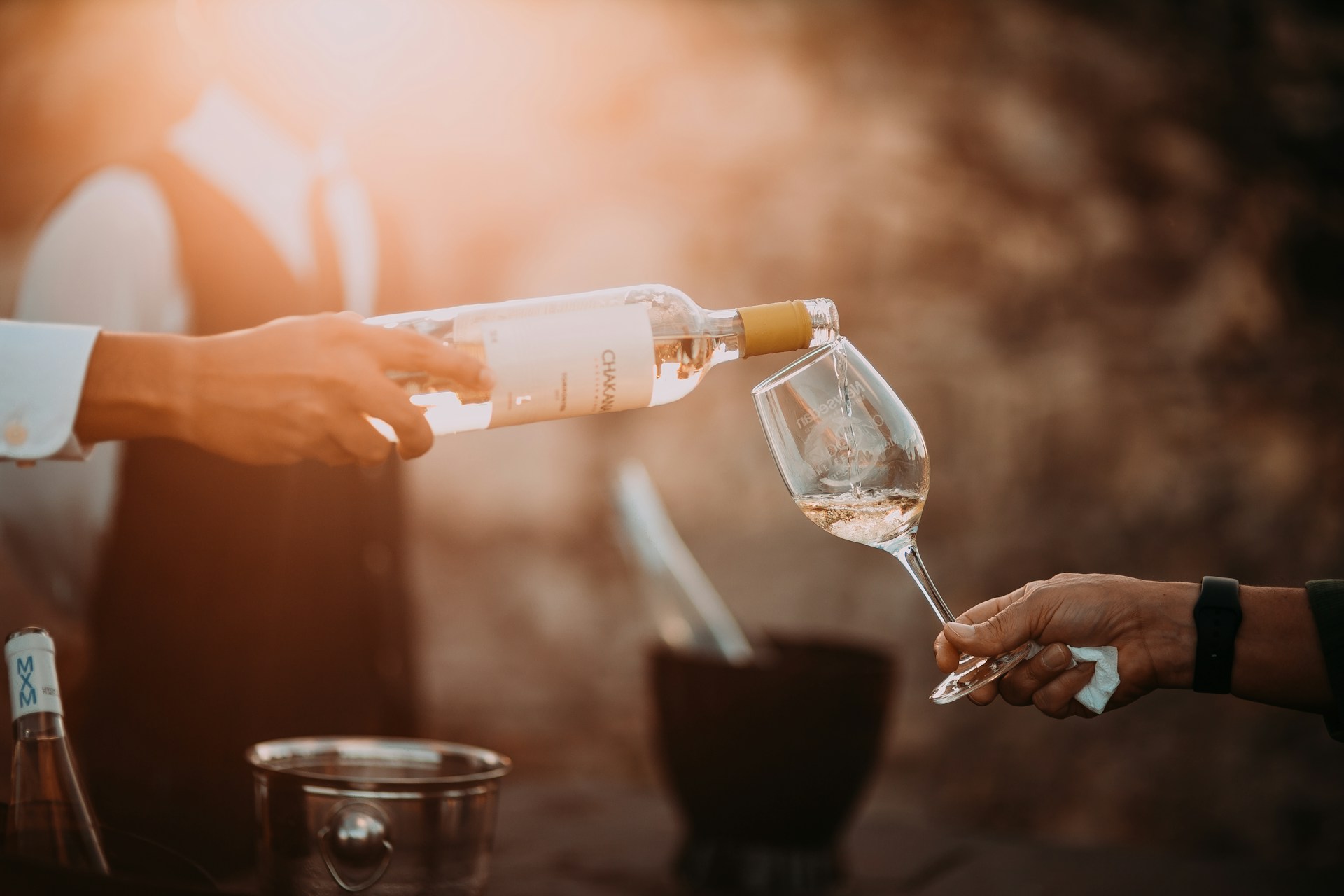Vinos económicos y de calidad: 10 recomendaciones por menos de 200 pesos