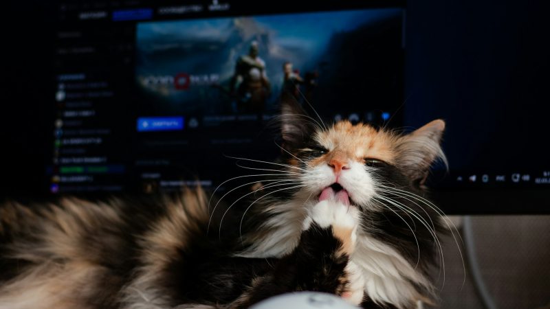 Oportunidades de oro y una selección de joyas gratuitas para tu computadora