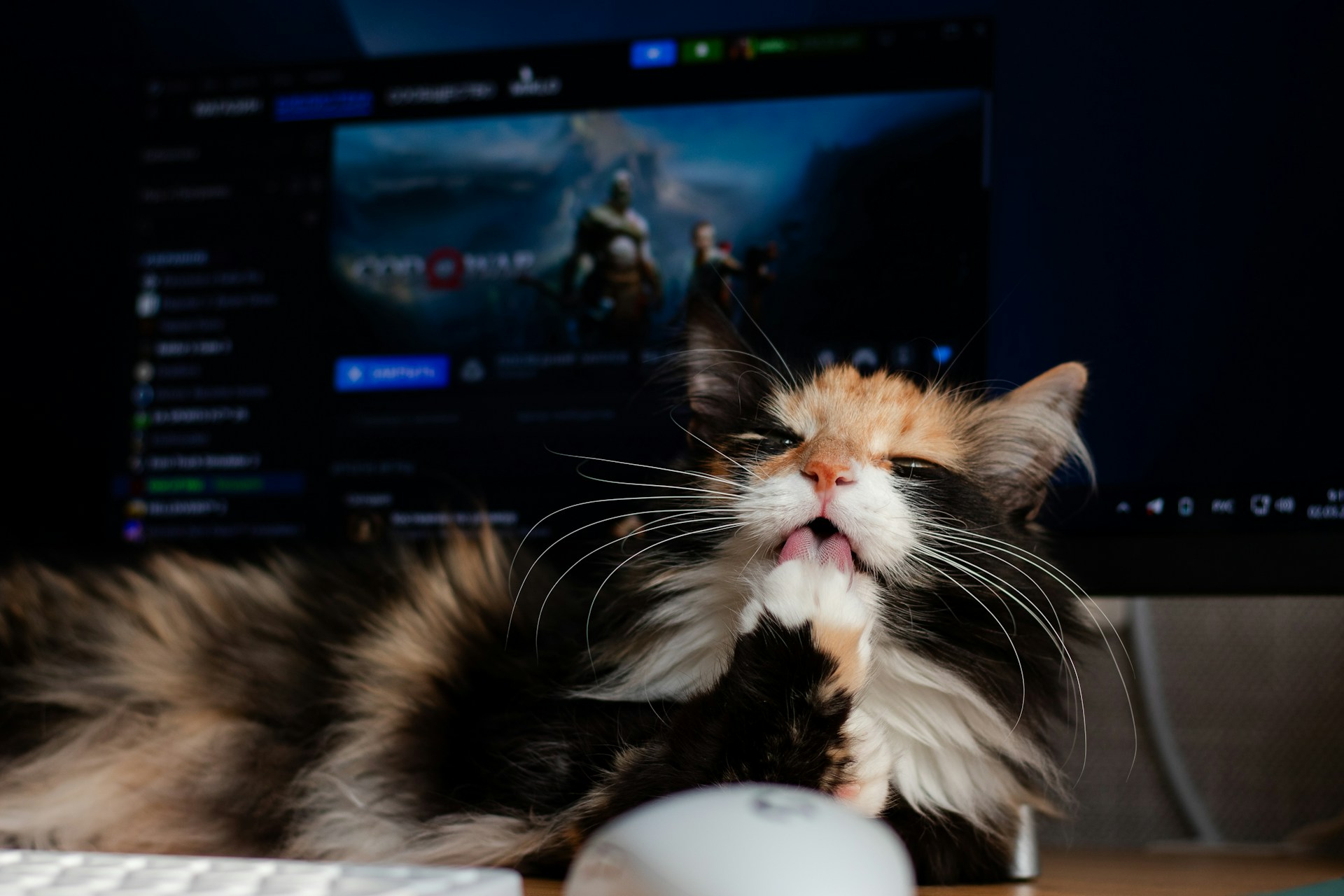 Oportunidades de oro y una selección de joyas gratuitas para tu computadora